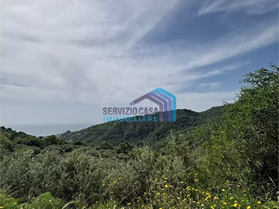 Immagine 10 di Terreno edificabile in vendita  a Fiumedinisi