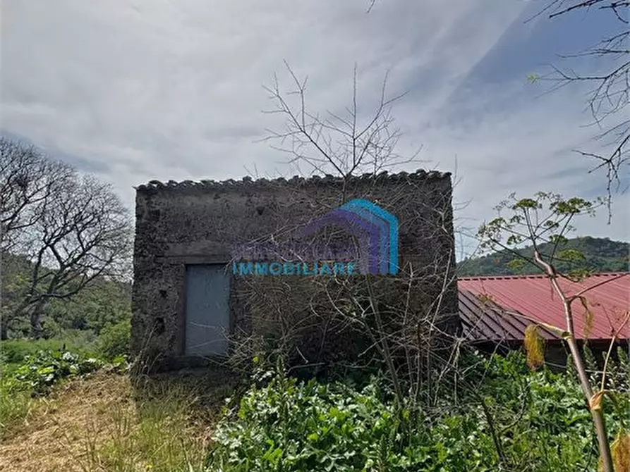 Immagine 2 di Terreno edificabile in vendita  a Fiumedinisi