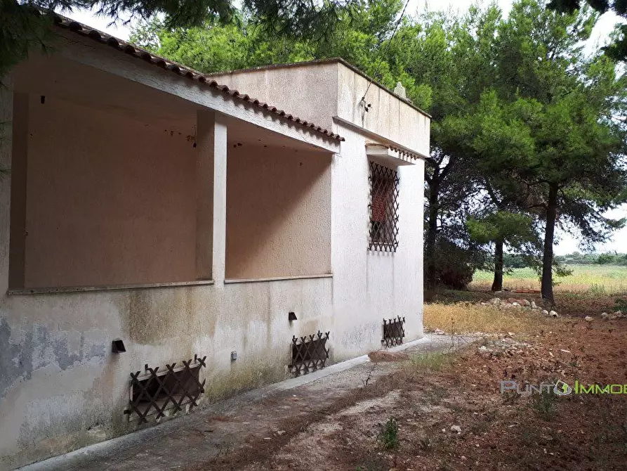Immagine 6 di Villa in vendita  a Carovigno