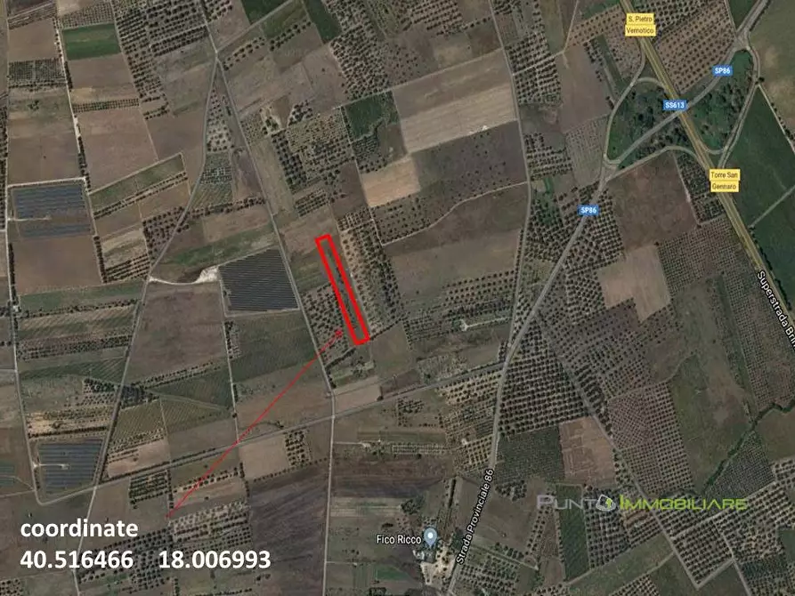 Immagine 1 di Terreno in vendita  a San Pietro Vernotico