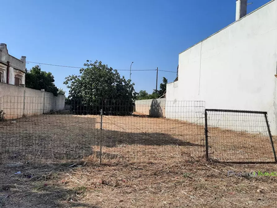 Immagine 5 di Terreno edificabile in vendita  10 a San Pietro Vernotico