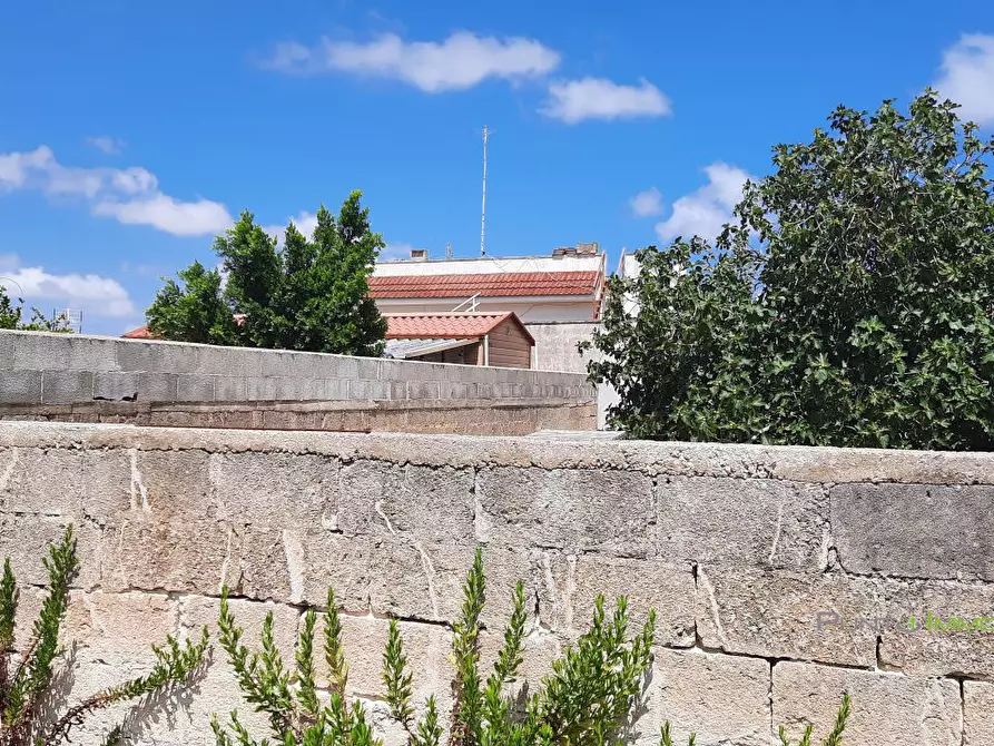 Immagine 6 di Terreno edificabile in vendita  10 a San Pietro Vernotico