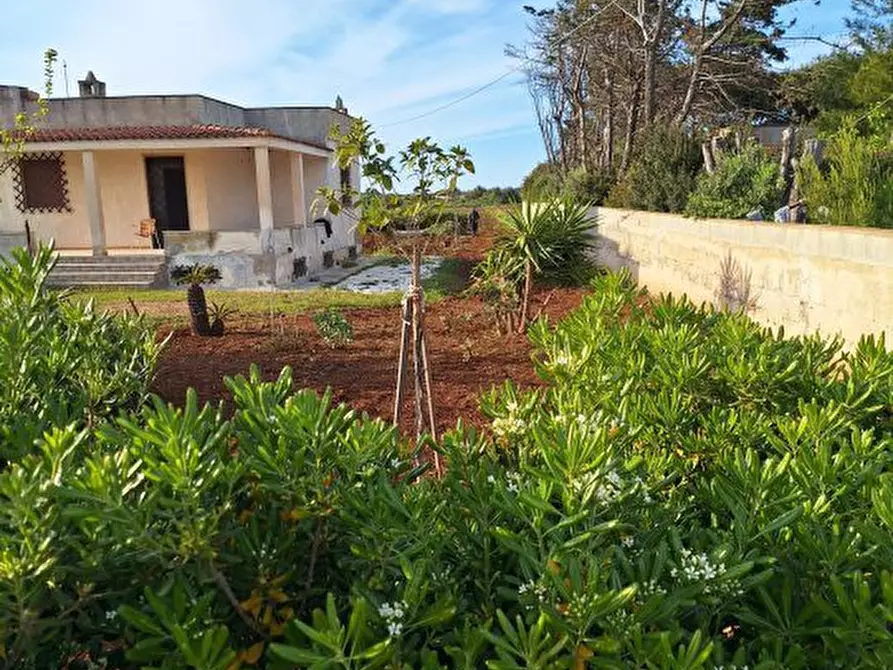 Immagine 4 di Villa in vendita  a Carovigno