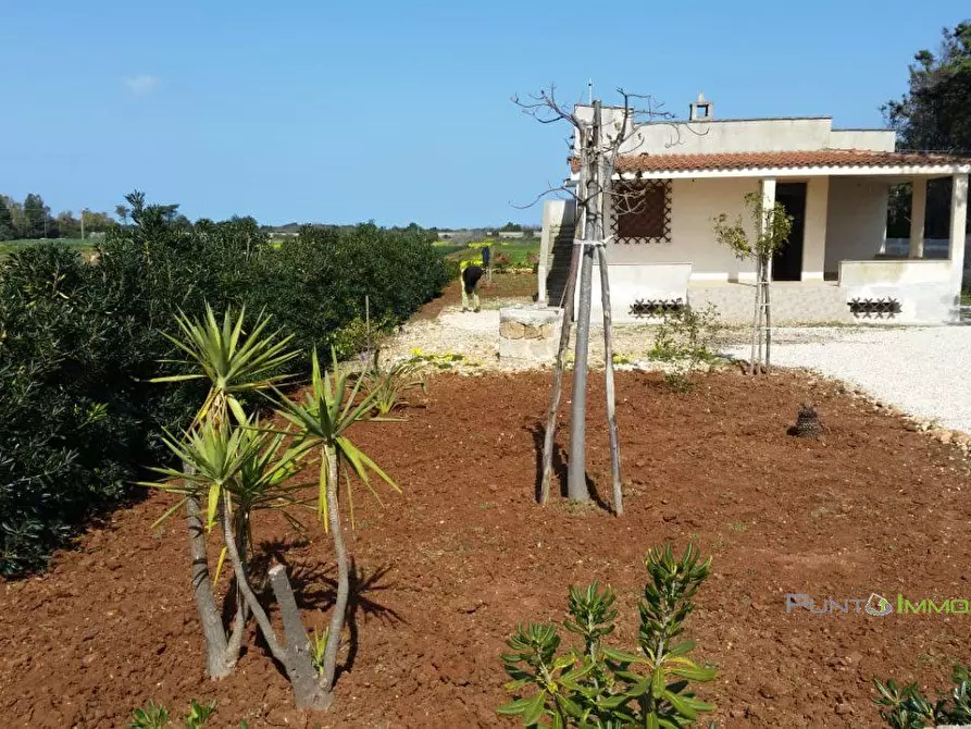Immagine 3 di Villa in vendita  a Carovigno