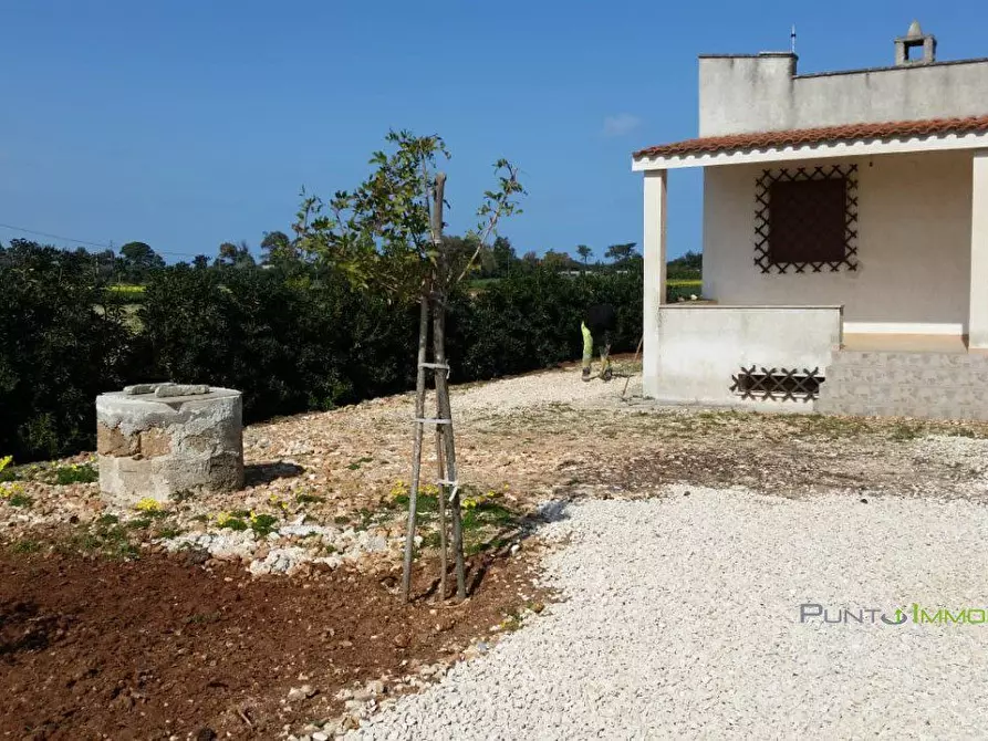 Immagine 5 di Villa in vendita  a Carovigno