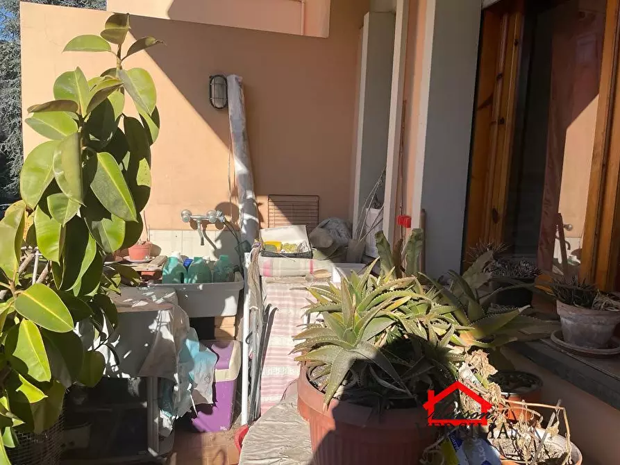 Immagine 5 di Appartamento in vendita  a Massa