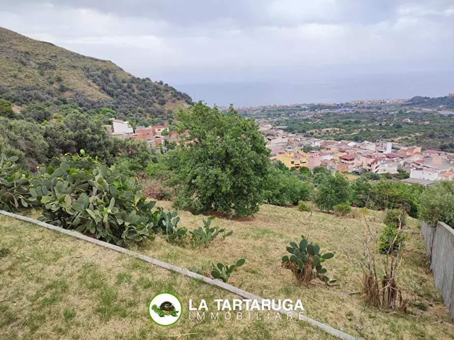 Immagine 3 di Terreno in vendita  a Pagliara