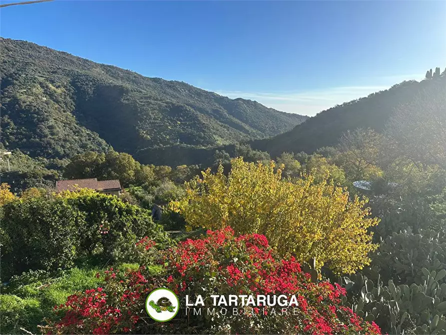 Immagine 3 di Casa indipendente in vendita  a Pagliara