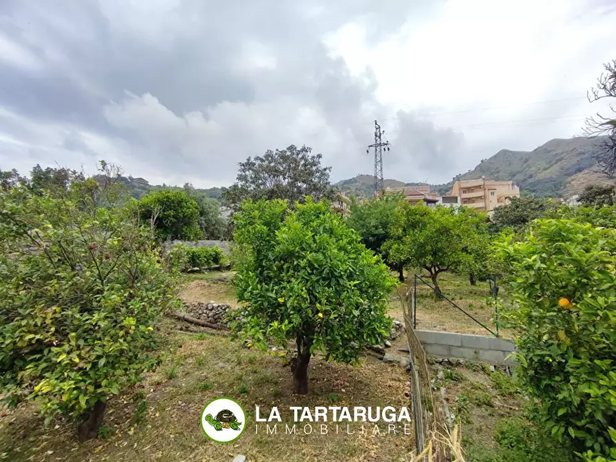 Immagine 5 di Terreno edificabile in vendita  a Pagliara