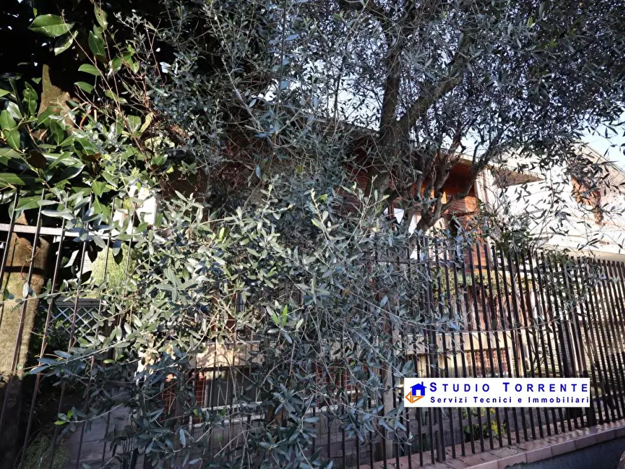 Immagine 6 di Villa in vendita  a Bollate