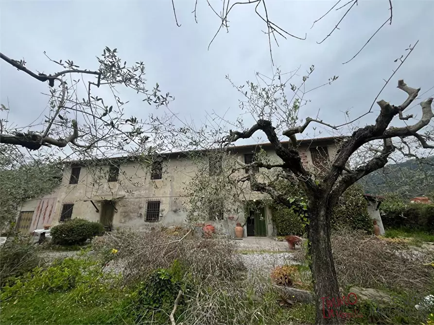 Immagine 6 di Rustico / casale in vendita  a Massarosa