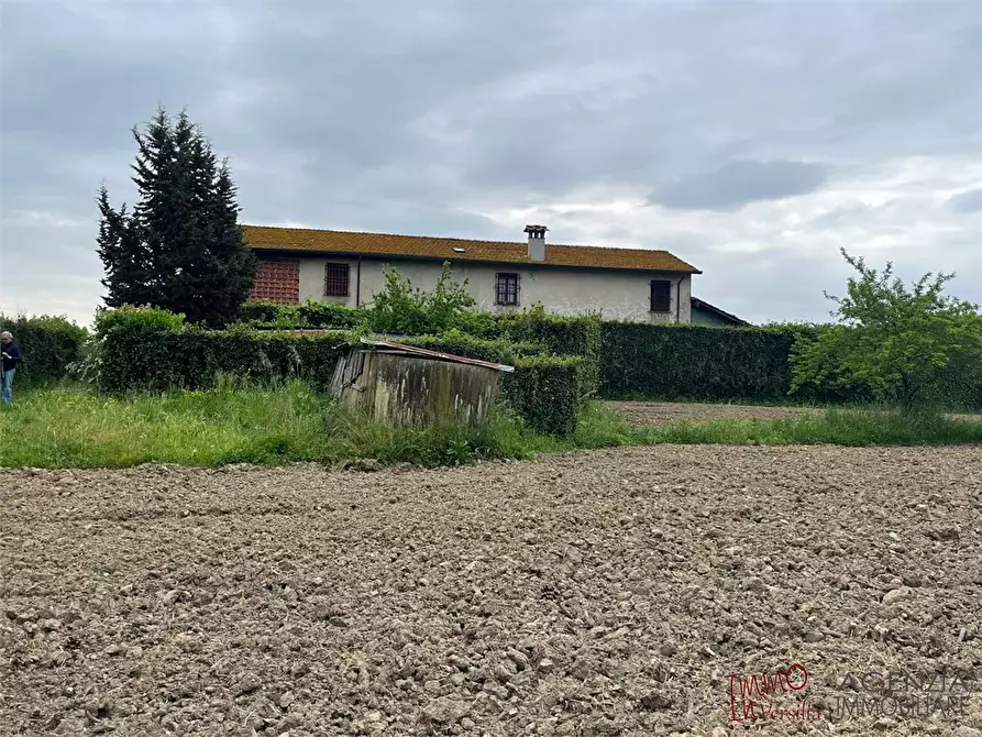 Immagine 3 di Rustico / casale in vendita  a Massarosa