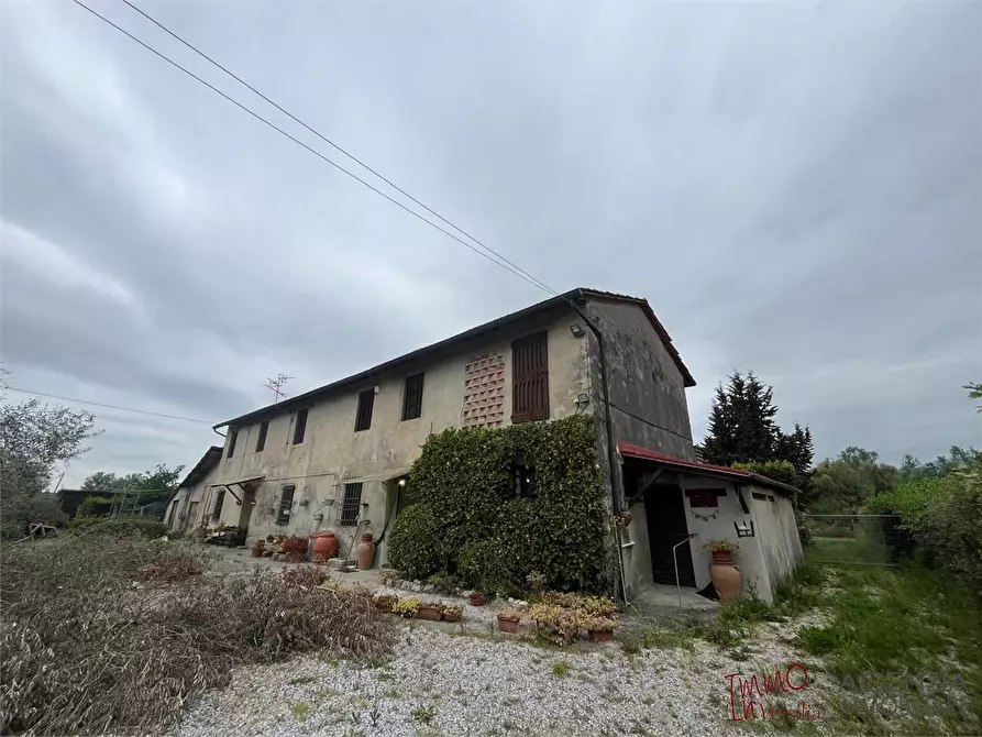 Immagine 2 di Rustico / casale in vendita  a Massarosa