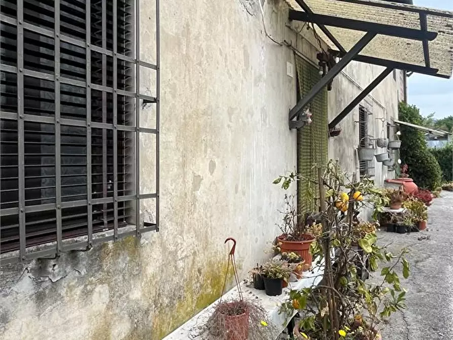 Immagine 5 di Rustico / casale in vendita  a Massarosa