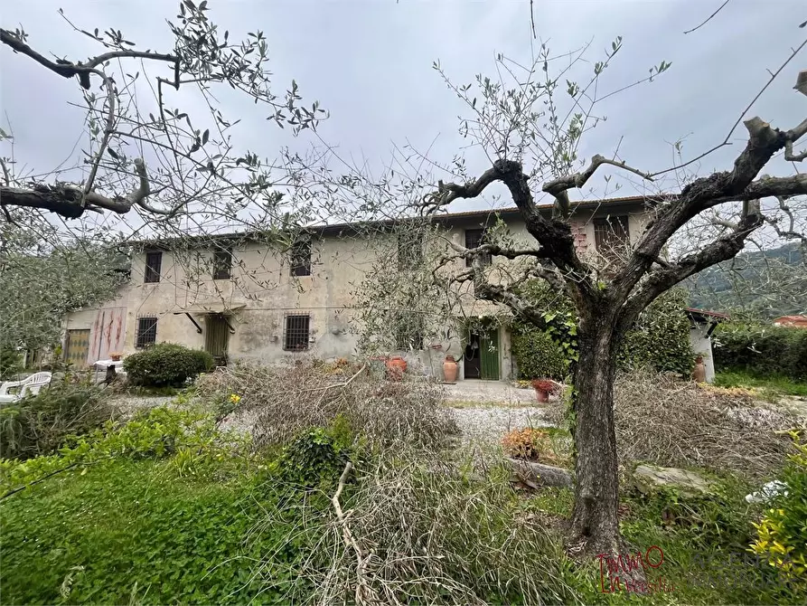 Immagine 1 di Rustico / casale in vendita  a Massarosa