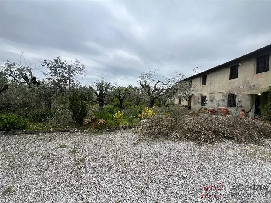Immagine 9 di Rustico / casale in vendita  a Massarosa