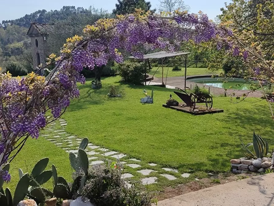 Immagine 4 di Rustico / casale in vendita  a Camaiore