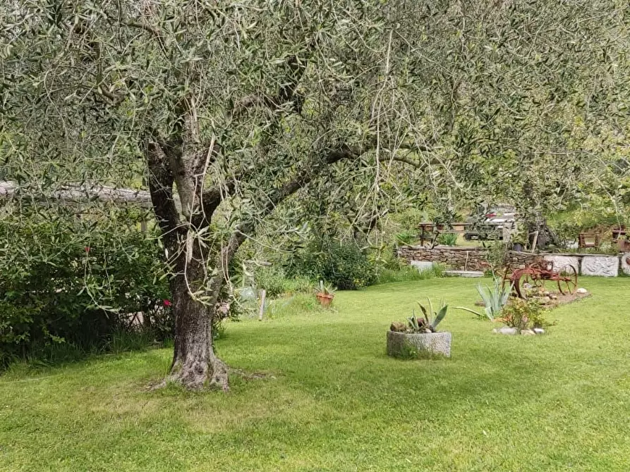 Immagine 5 di Rustico / casale in vendita  a Camaiore