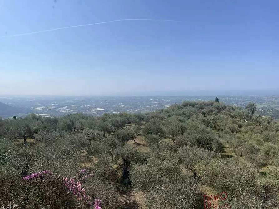 Immagine 4 di Villa in vendita  a Camaiore