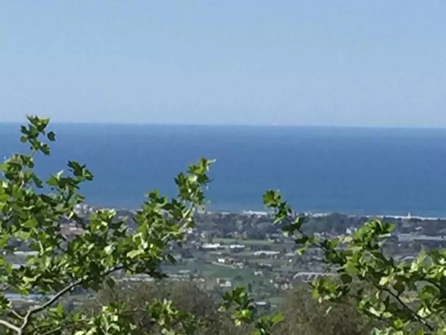 Immagine 3 di Villa in vendita  a Camaiore