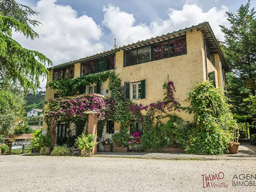 Immagine 2 di Villa in vendita  a Massarosa