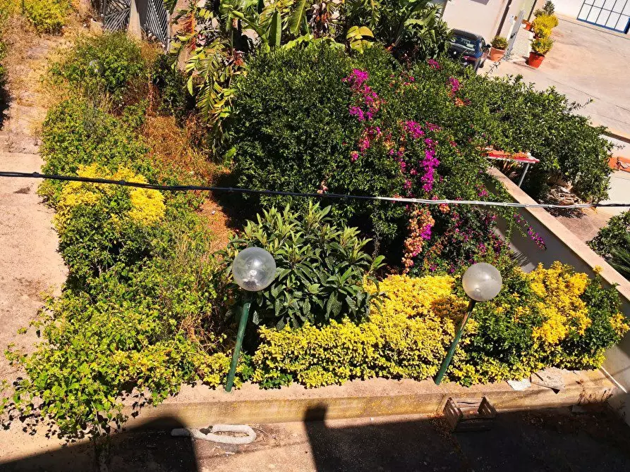 Immagine 3 di Casa semindipendente in vendita  a Trapani