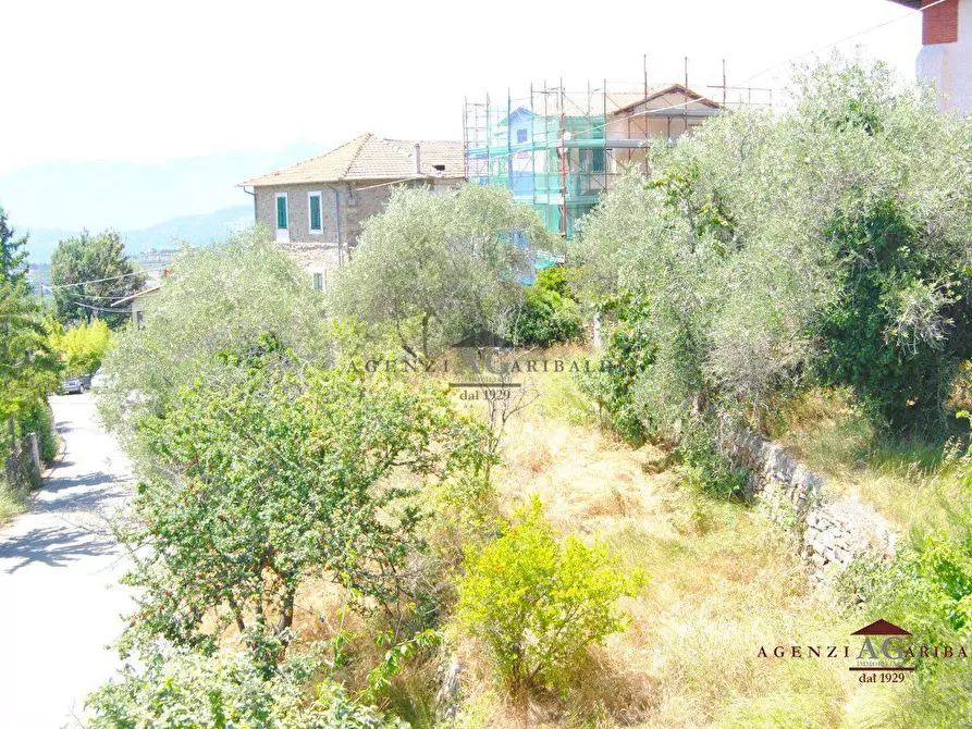 Immagine 8 di Rustico / casale in vendita  a Seborga