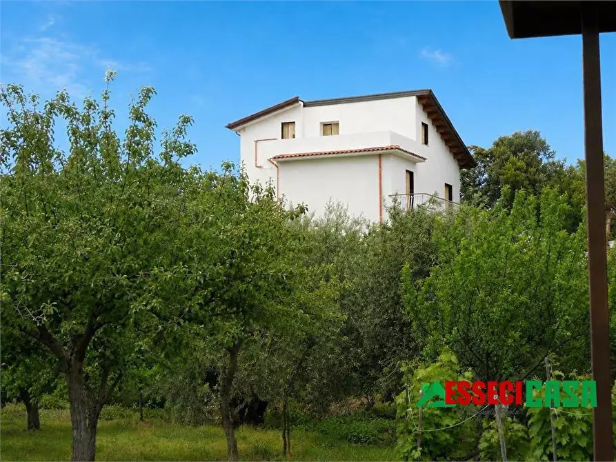 Immagine 3 di Villa in vendita  a Gioiosa Marea