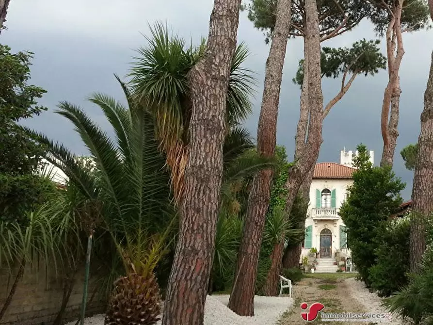 Immagine 3 di Villa in vendita  98 a Grottaferrata