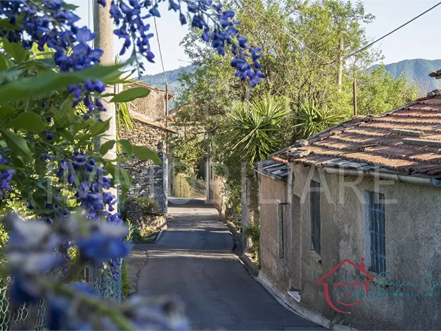 Immagine 2 di Casa semindipendente in vendita  12 a Aquila D'arroscia