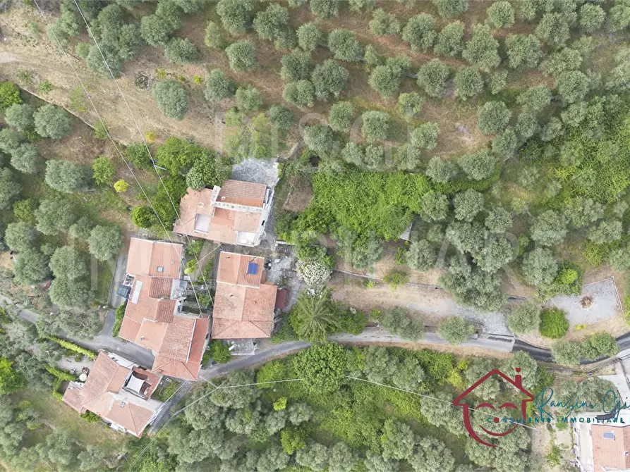 Immagine 3 di Rustico / casale in vendita  6 a Ranzo