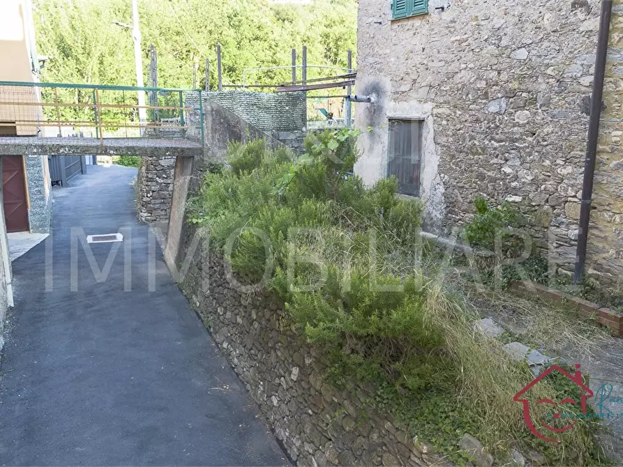 Immagine 5 di Rustico / casale in vendita  15 a Garlenda