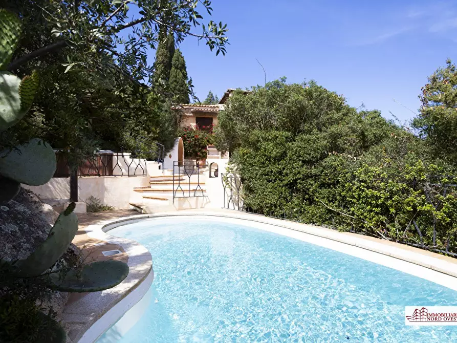 Immagine 1 di Villa in affitto  a Arzachena