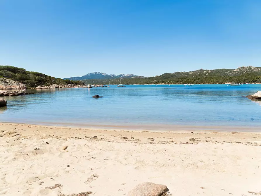 Immagine 2 di Villa in affitto  a Arzachena