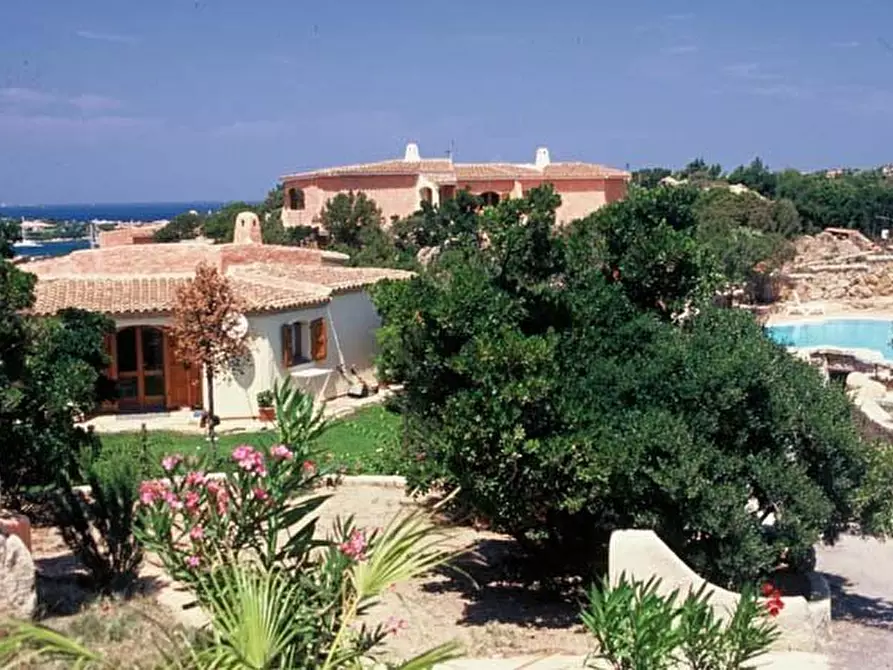 Immagine 2 di Villa in affitto  a Arzachena