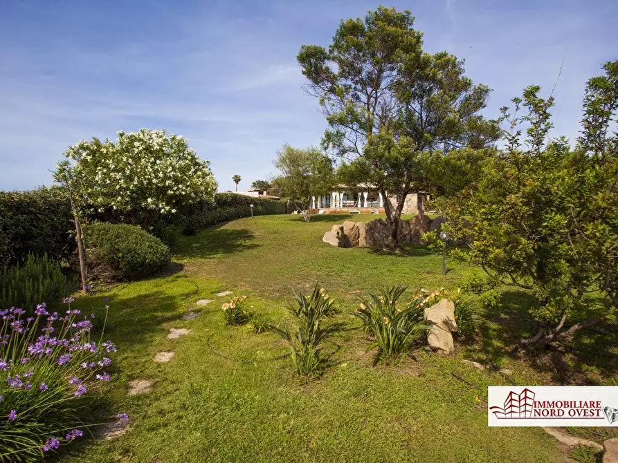 Immagine 4 di Villa in affitto  a San Teodoro