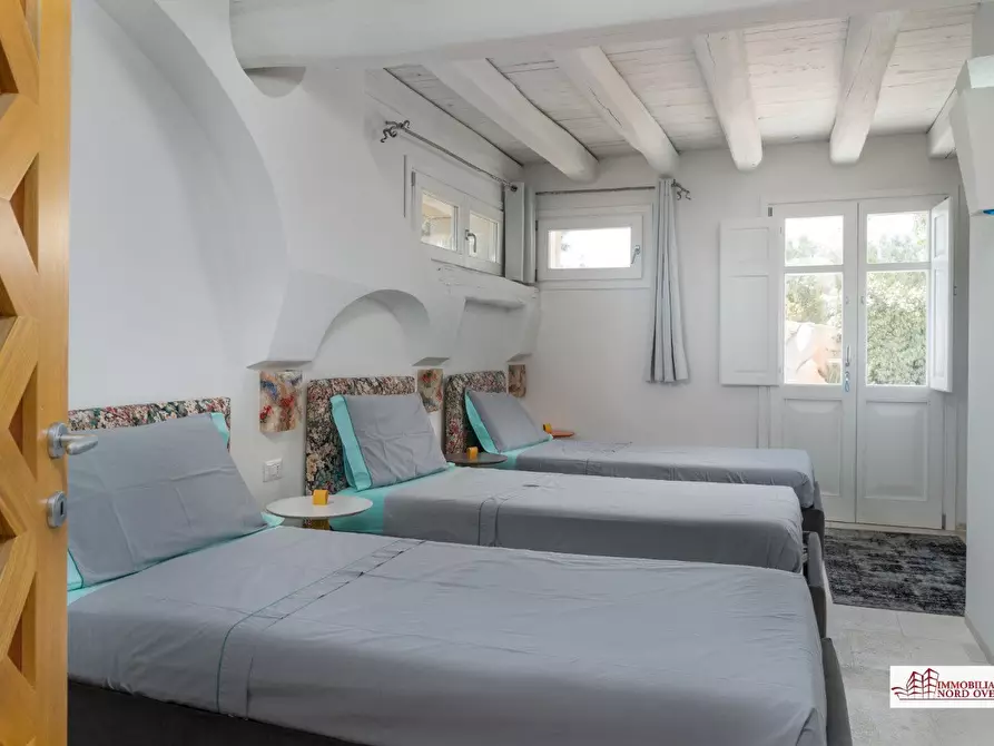 Immagine 10 di Villa in affitto  35 a San Teodoro