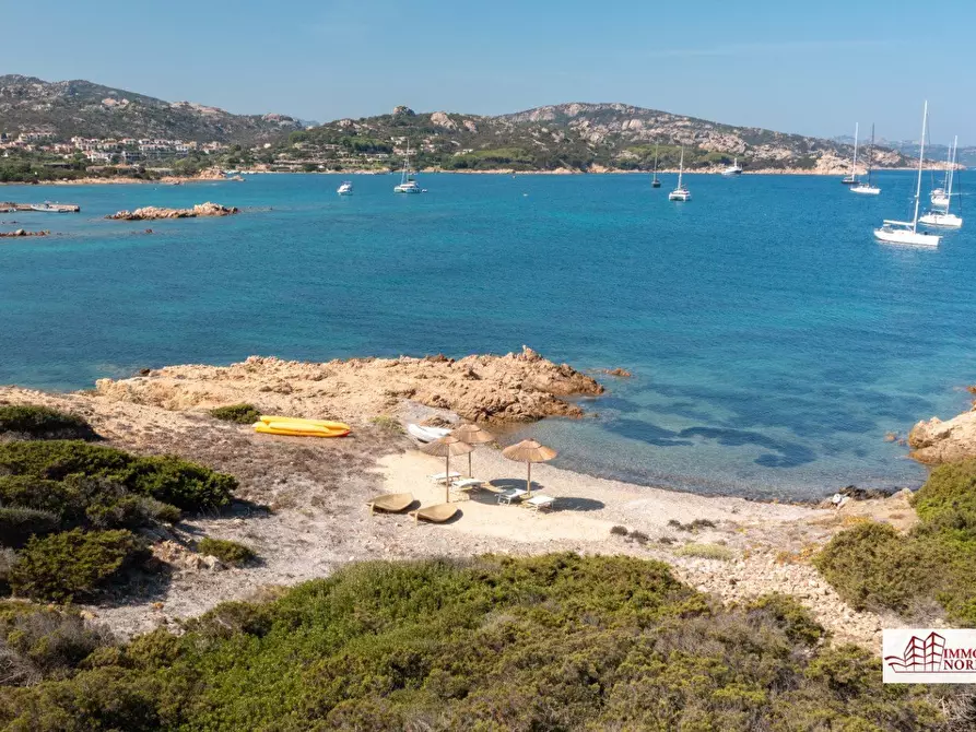 Immagine 3 di Villa in affitto  a Arzachena