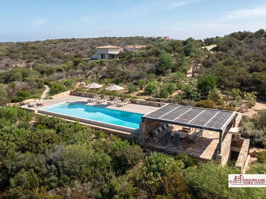 Immagine 4 di Villa in affitto  a Arzachena