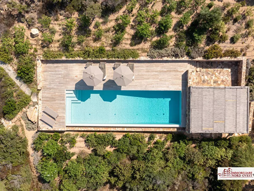 Immagine 6 di Villa in affitto  a Arzachena