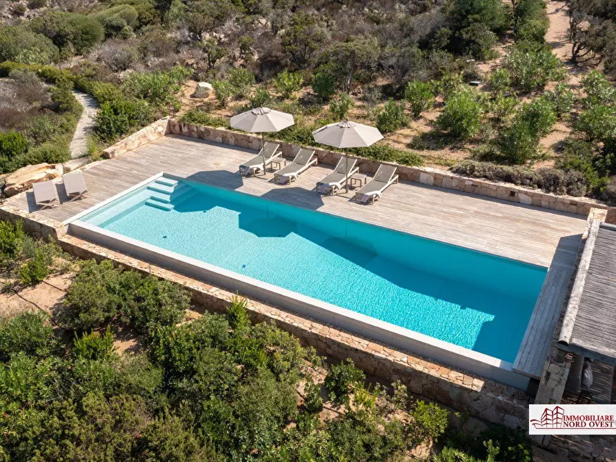 Immagine 5 di Villa in affitto  a Arzachena