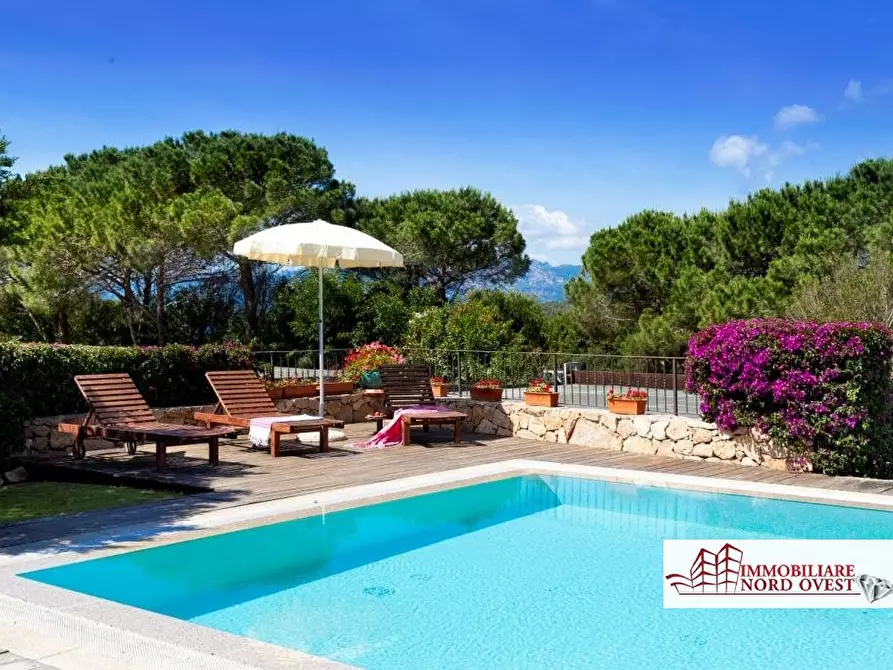 Immagine 1 di Villa in affitto  a San Teodoro