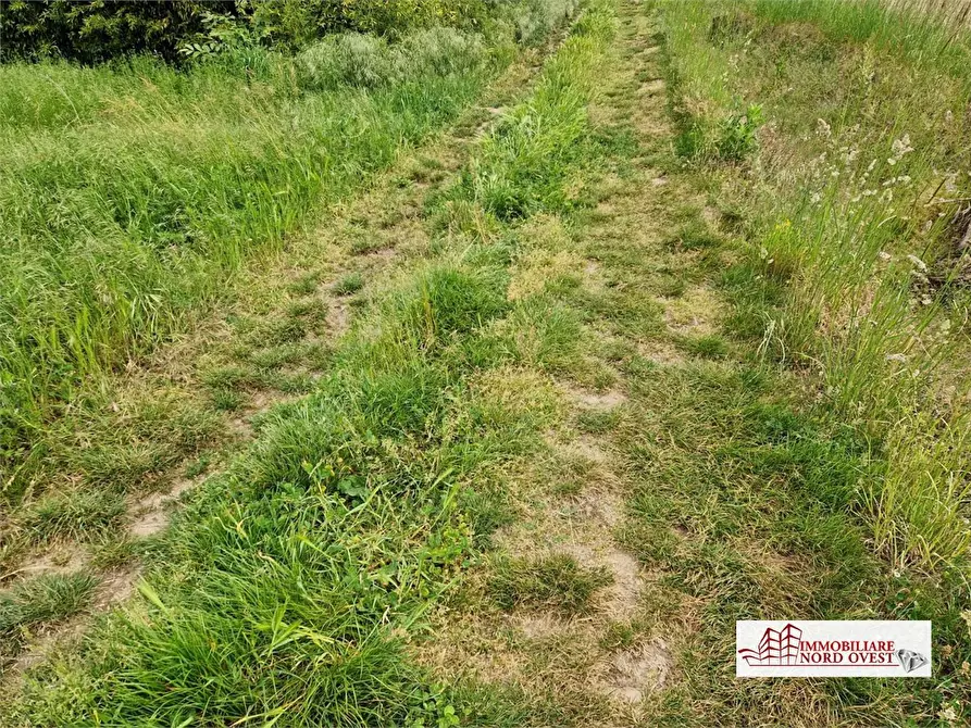 Immagine 5 di Terreno in vendita  snc a Corbetta