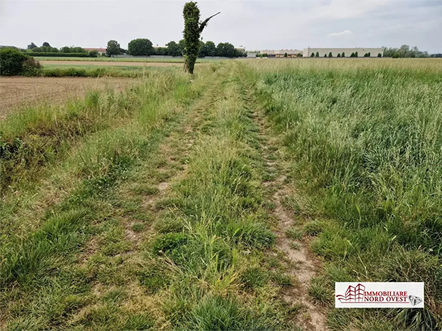 Immagine 2 di Terreno in vendita  snc a Corbetta