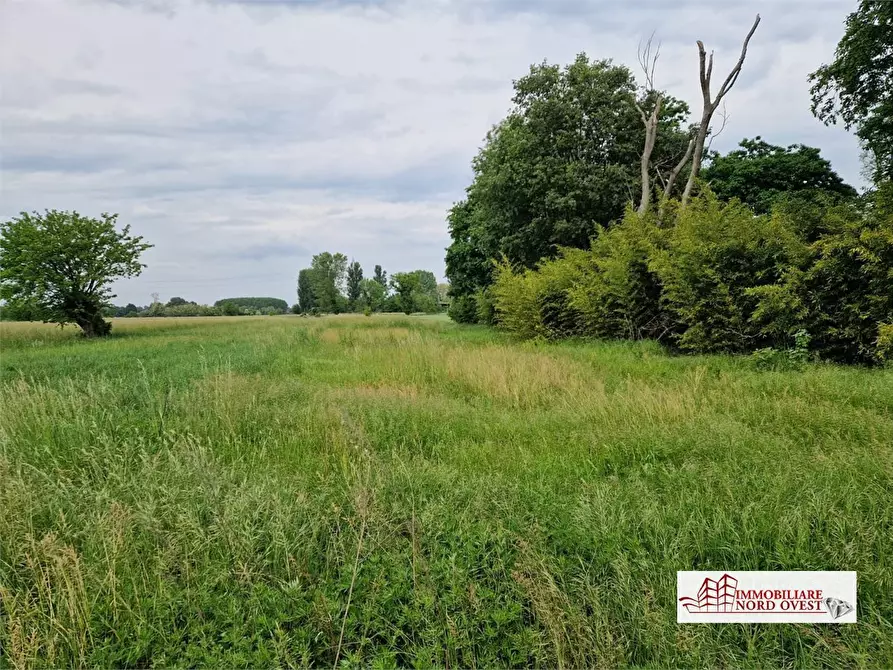 Immagine 4 di Terreno in vendita  snc a Corbetta