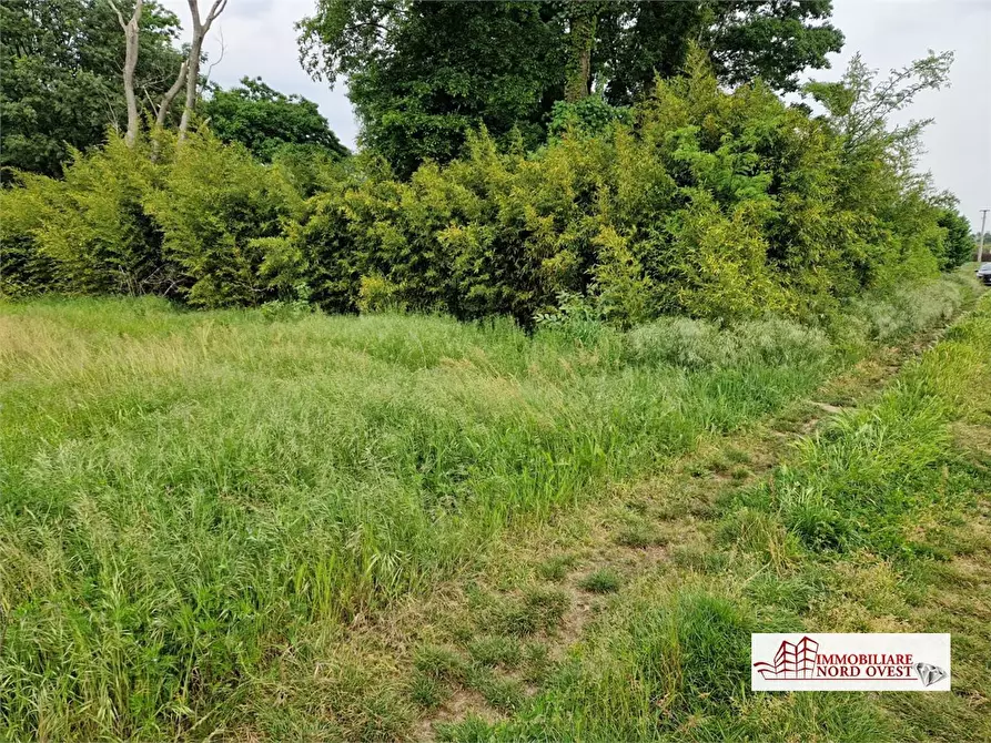 Immagine 3 di Terreno in vendita  snc a Corbetta