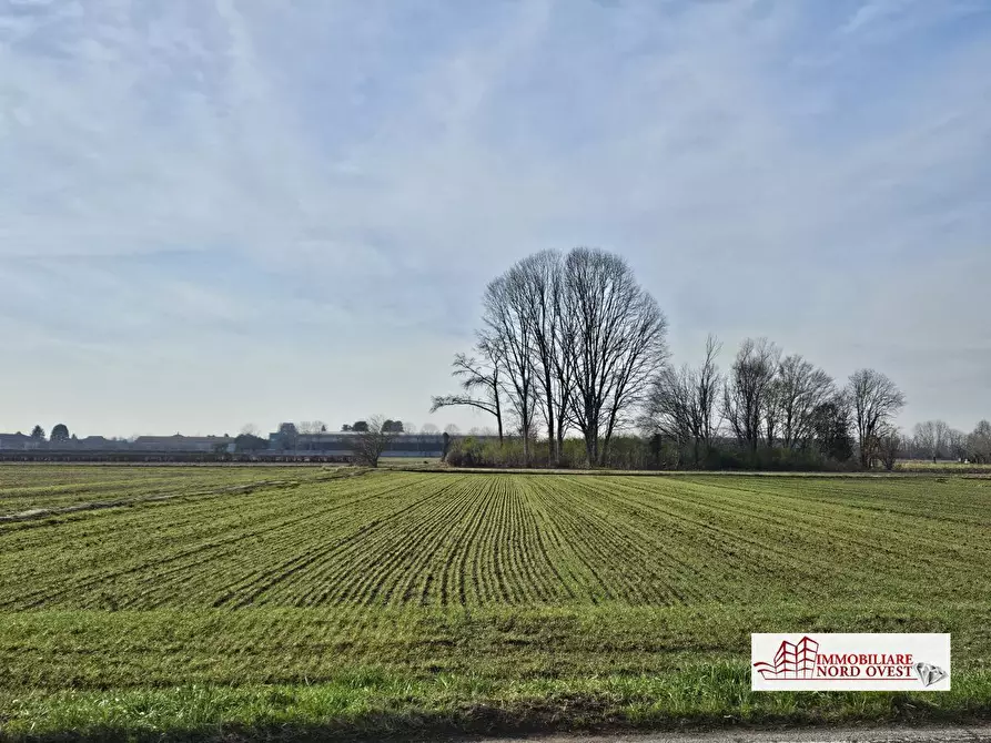 Immagine 1 di Terreno in vendita  a Corbetta
