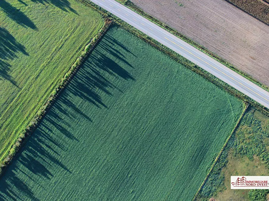 Immagine 9 di Terreno in vendita  a Corbetta