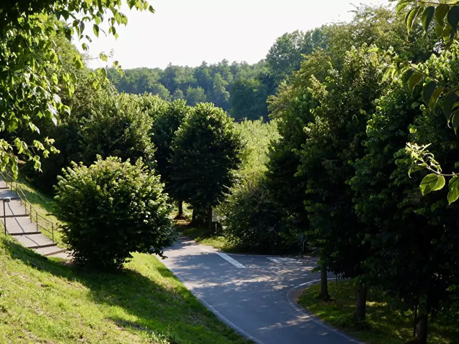 Immagine 3 di Villa in vendita  Snc a Morimondo