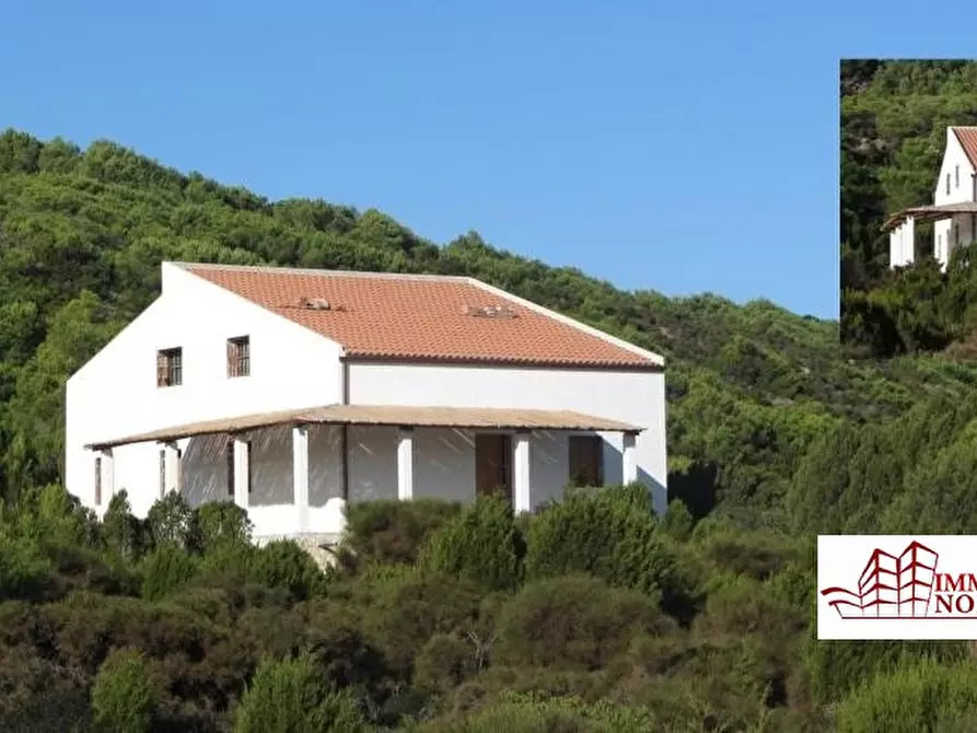 Immagine 6 di Villa in vendita  a Carloforte